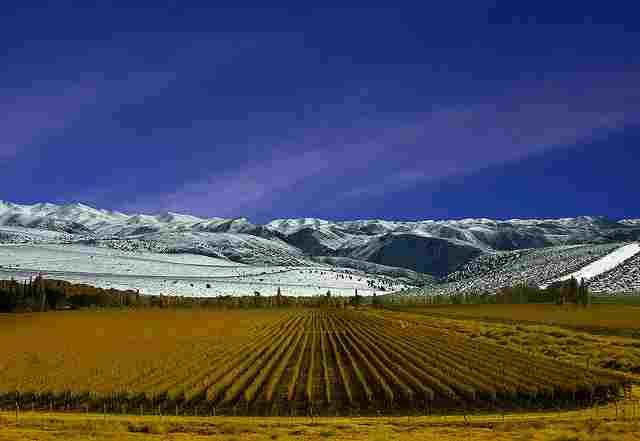 Mendoza-Wine-Regions
