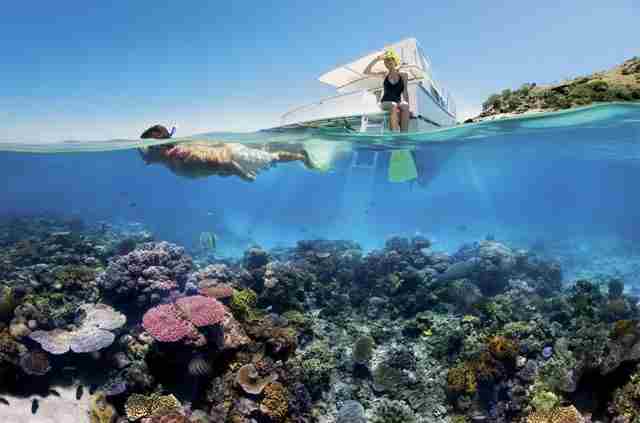 Amizing-underwater-view-of-the-Great-Barrier Reaf