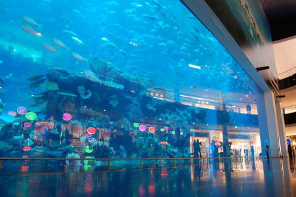 Dubai Aquarium and Under Water Zoo inside Dubai Mall 