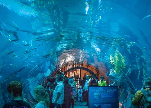Dubai-Underwater-Zoo