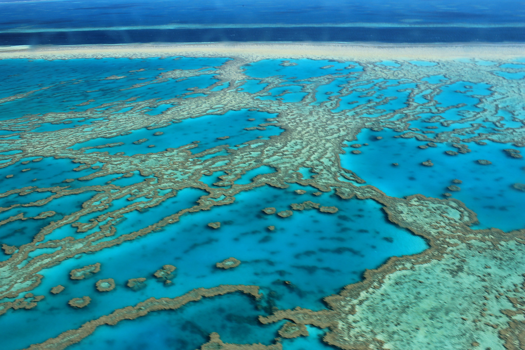 Great Barrier Reef photo